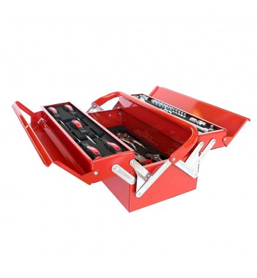 CAJA HERRAMIENTAS METALICA...